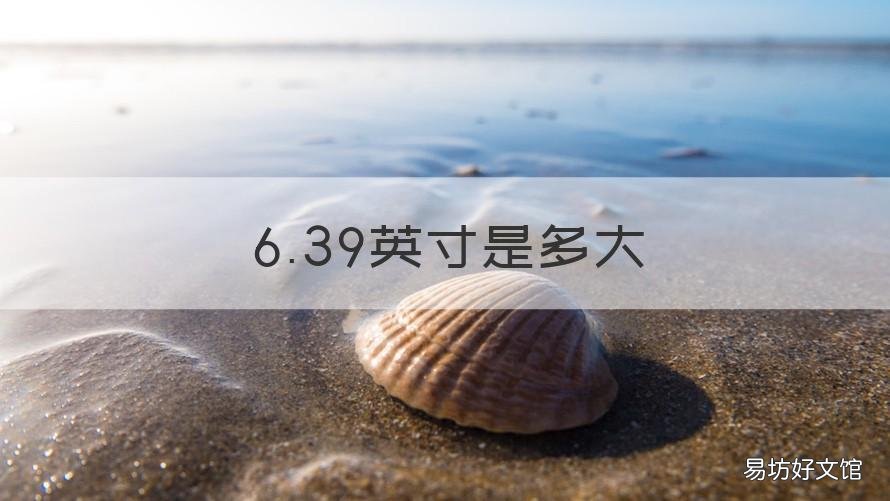 6.39英寸是多大 6.59英寸=多少寸