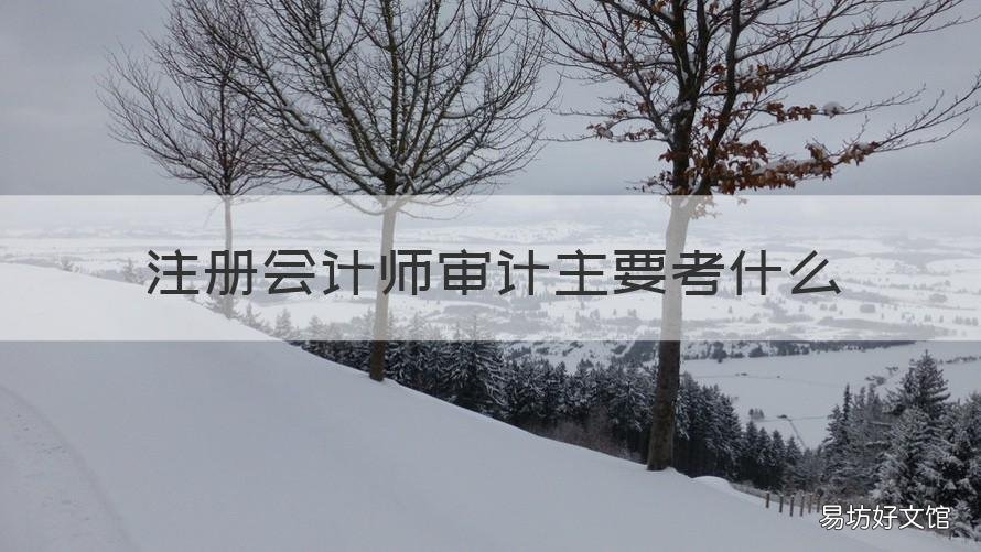 注册会计师审计主要考什么 注册会计师审计主要考什么科目