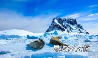 南极几月最冷? 南极什么时候最冷