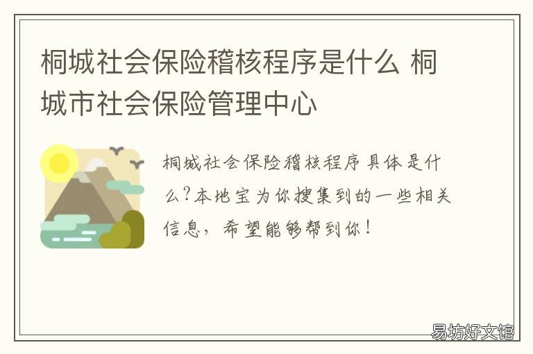 桐城社会保险稽核程序是什么