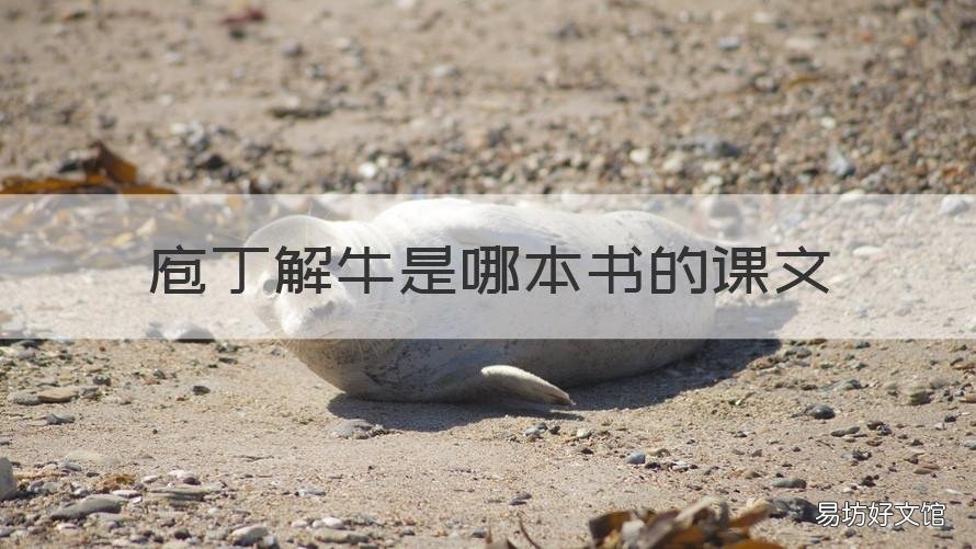 庖丁解牛是哪本书的课文 庖丁解牛在哪本语文书里