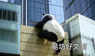 范二青年是什么意思 范二的青春