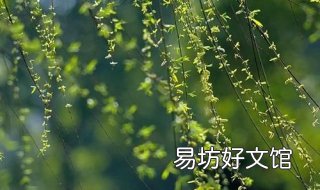 蜂围蝶阵的意思 蜂围蝶阵出处