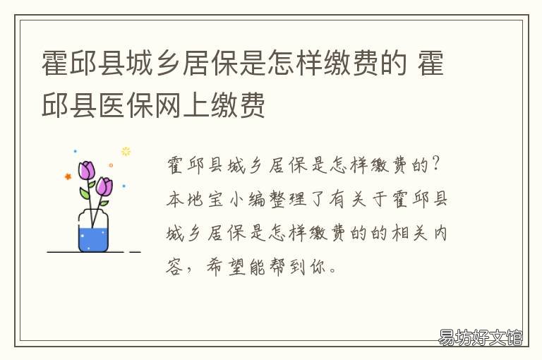 霍邱县城乡居保是怎样缴费的 霍邱县医保网上缴费