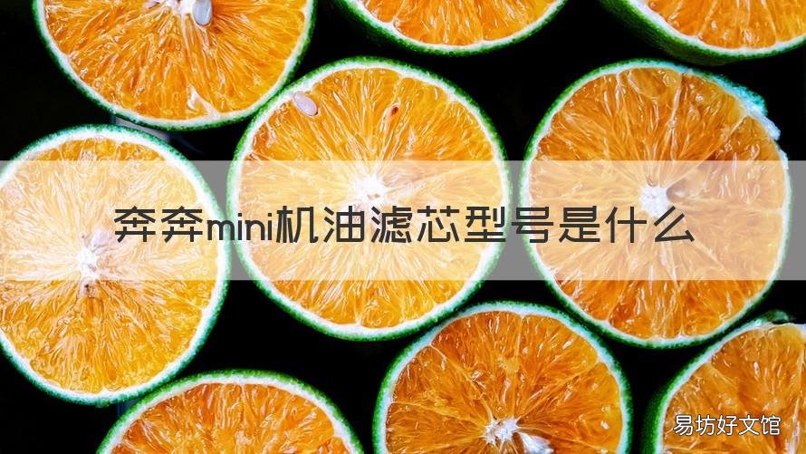 奔奔mini机油滤芯型号是什么 奔奔mini汽油滤芯