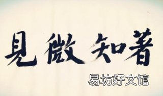 见微知著是什么意思 知微见著是啥意思