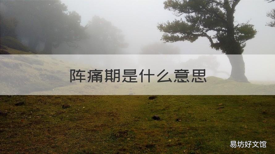 阵痛期是什么意思