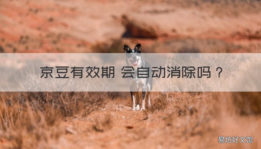 京豆有效期 会自动消除吗 京豆不用会过期吗