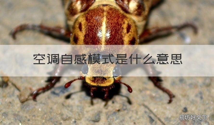 空调自感模式是什么意思 空调自感模式是什么意思图片