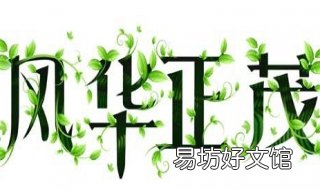 风华正茂是什么意思 百年风华正茂是什么意思
