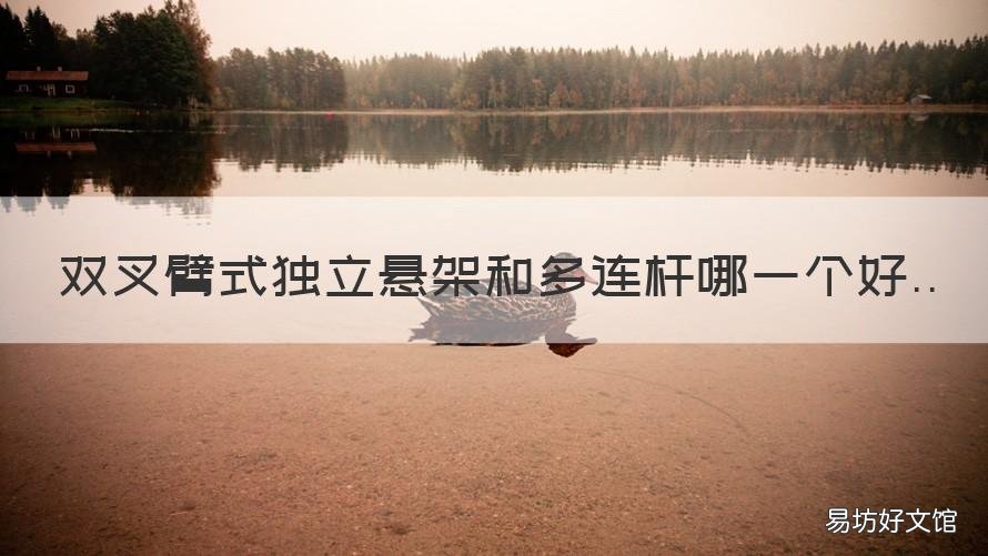 双叉臂式独立悬架和多连杆哪一个好 双叉臂式独立悬架和多连杆哪个贵