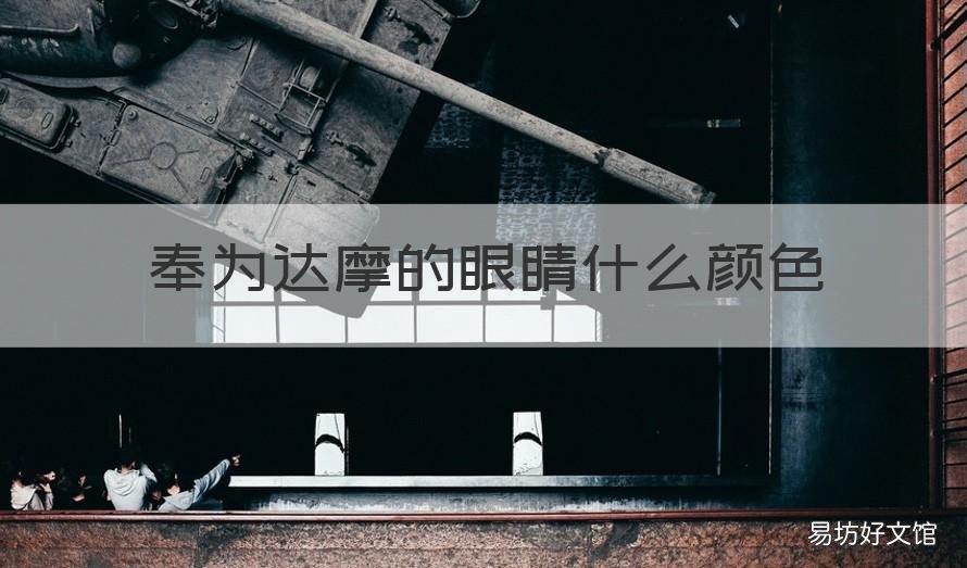 奉为达摩的眼睛什么颜色 奉为达摩的眼睛是怎样的?