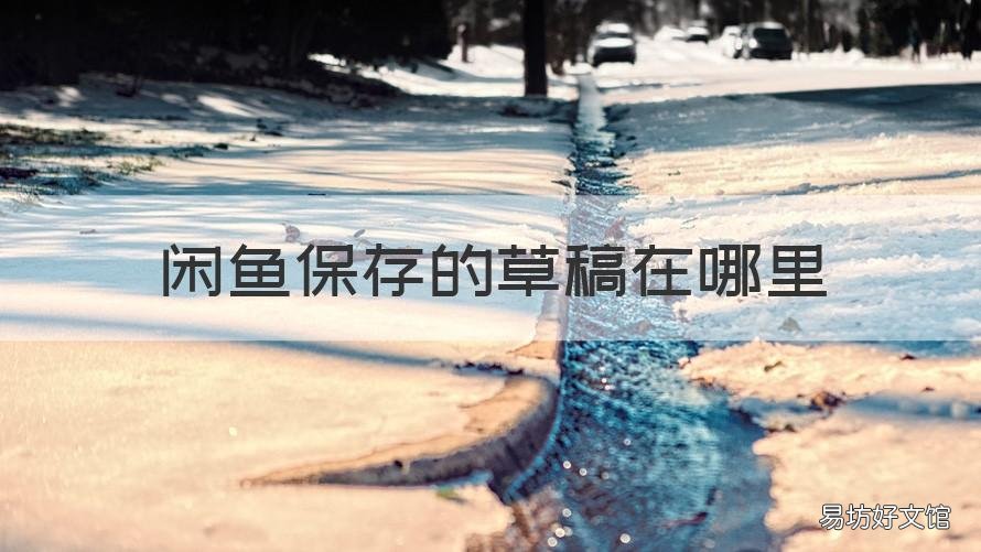 闲鱼保存的草稿在哪里 闲鱼保存的草稿在哪里视频