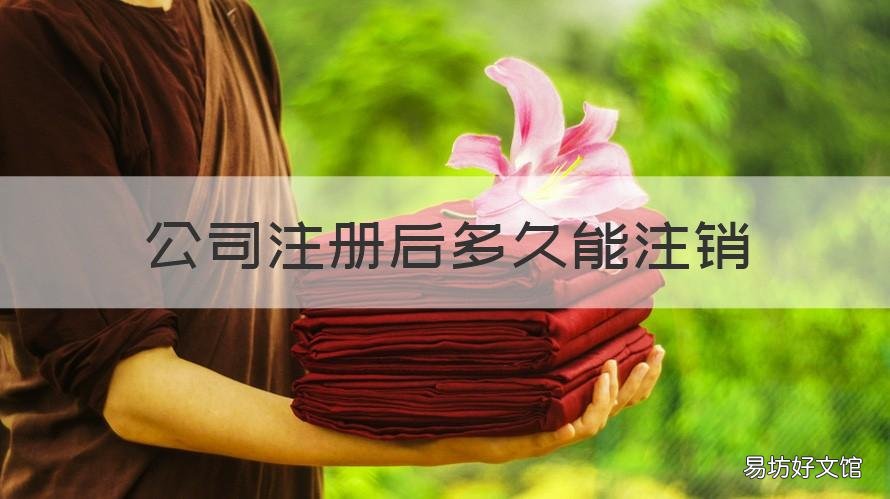 公司注册后多久能注销 注册公司以后多久可以注销