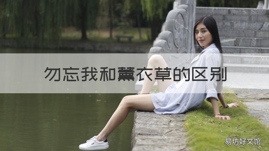 勿忘我和薰衣草的区别 勿忘我跟薰衣草有什么区别