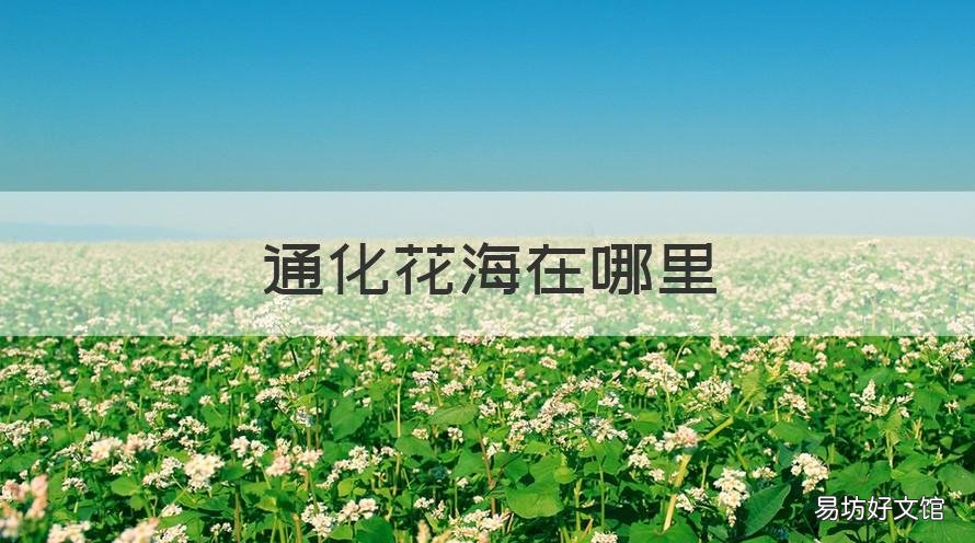 通化花海在哪里 通化花海在哪里多远