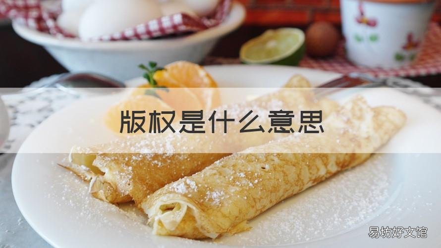 版权是什么意思 购买版权是什么意思
