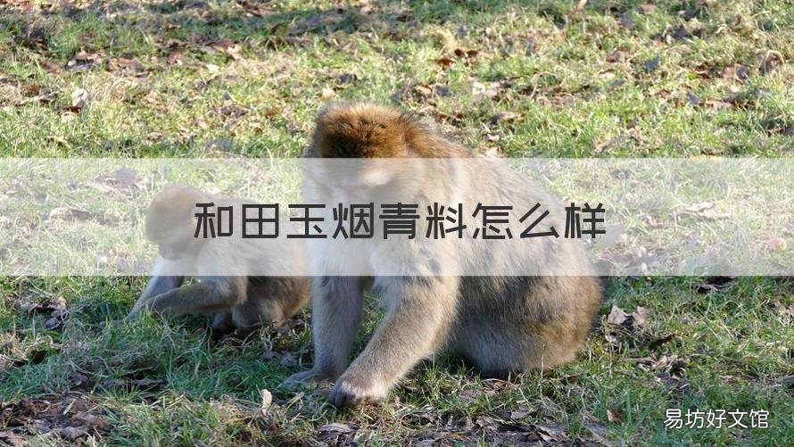 和田玉烟青料怎么样 和田玉烟青料怎么样鉴别