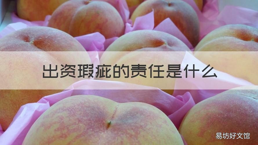 出资瑕疵的责任是什么 瑕疵出资人的民事责任
