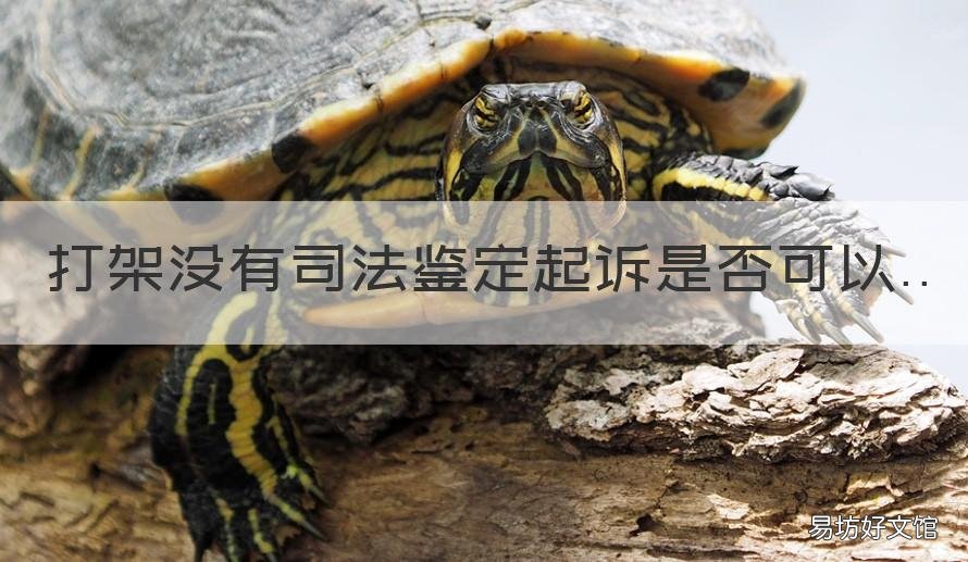 打架没有司法鉴定起诉是否可以 打架对方做了司法鉴定就算刑事