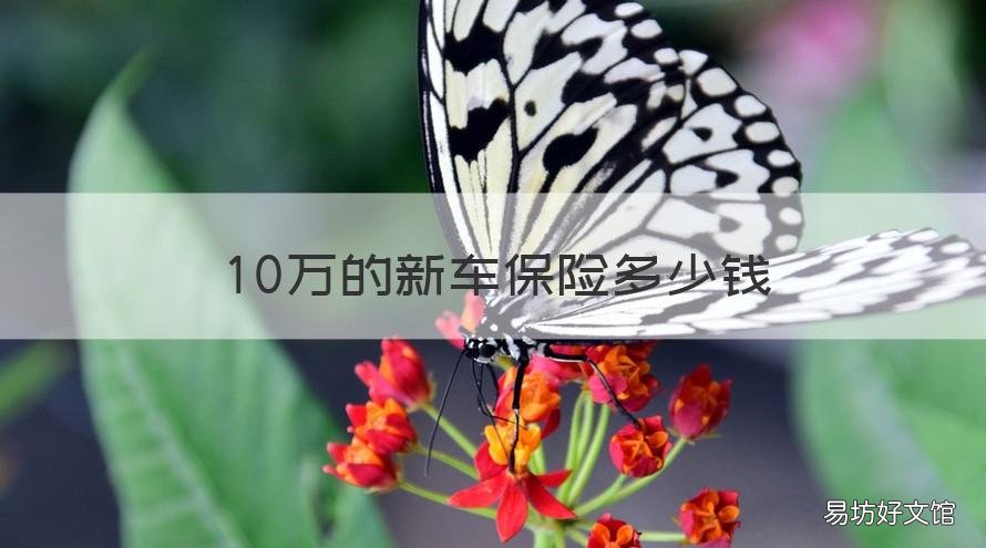 10万的新车保险多少钱 10万元左右的新车保险费用是多少钱