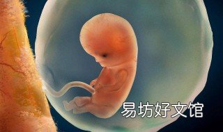 50天能看到胎心胎芽吗 50天可以看到胎心胎芽吗