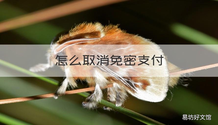 怎么取消免密支付 微信怎么取消免密支付
