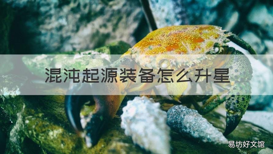 混沌起源装备怎么升星 混沌起源两星装备如何合成