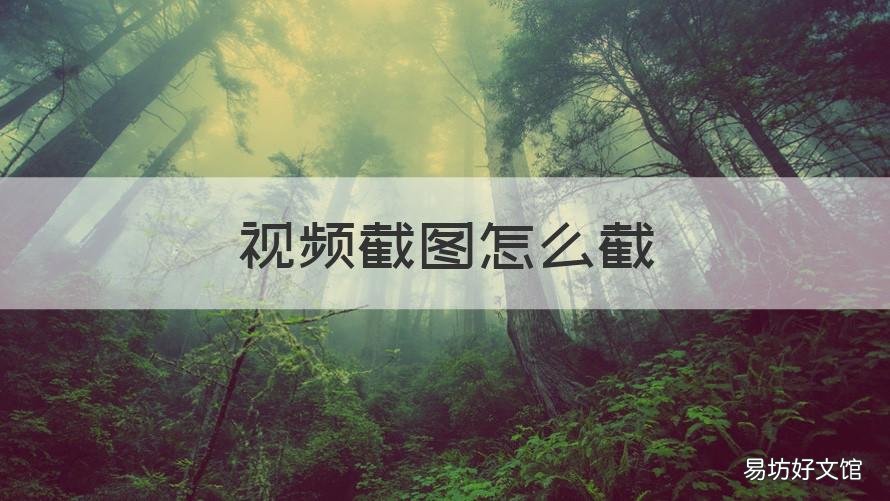 视频截图怎么截 笔记本电脑视频截图怎么截