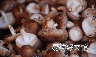 香菇和冰糖的作用 香菇对血糖有什么作用与功效