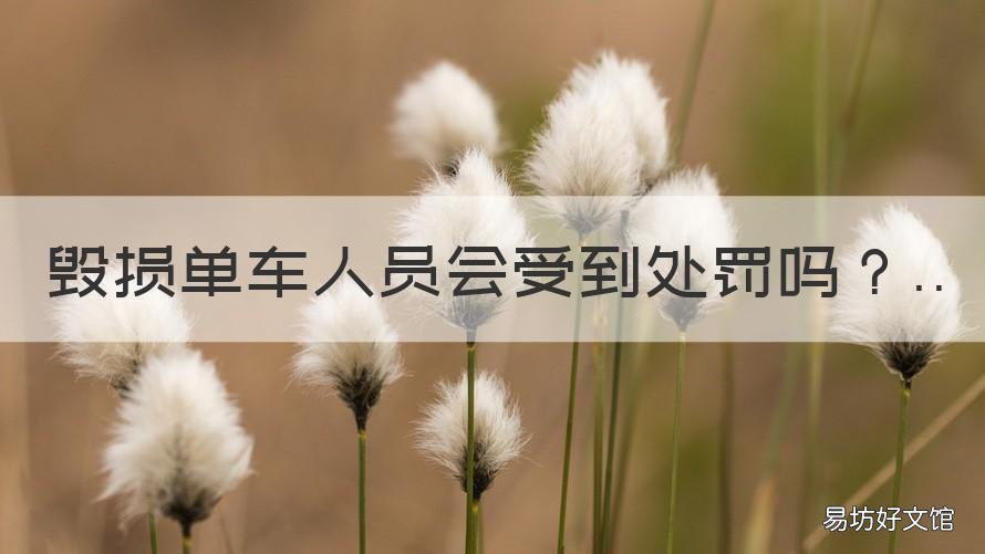 毁损单车人员会受到处罚吗 单车事故人员伤害赔偿