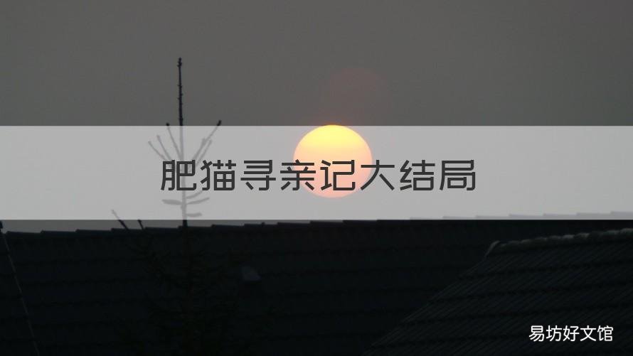 肥猫寻亲记大结局 肥猫寻亲记大结局解析