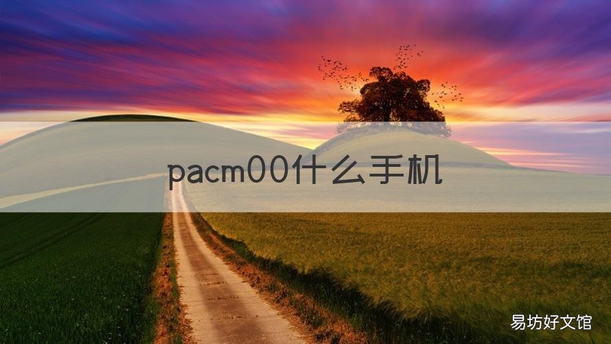 pacm00什么手机 手机paam00是什么型号