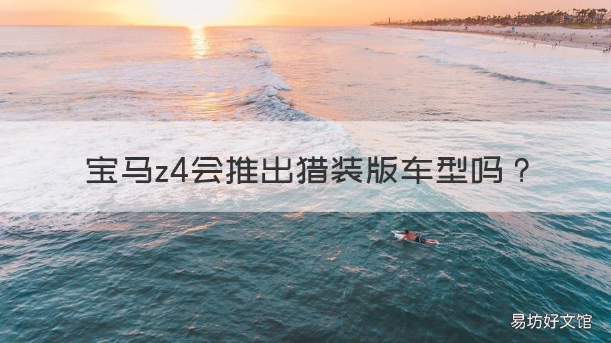 宝马z4会推出猎装版车型吗 宝马z4选装