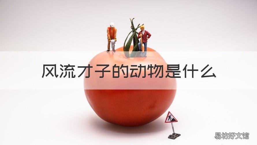 风流才子的动物是什么 风流人物是什么动物
