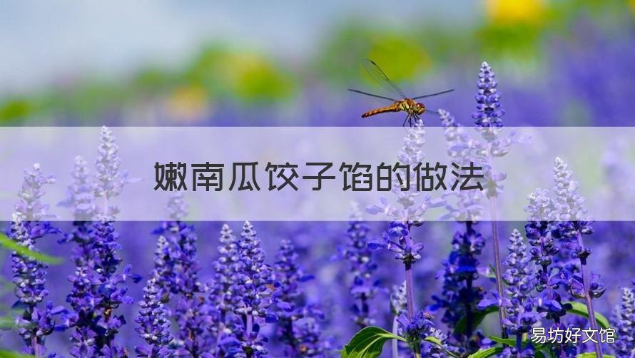 嫩南瓜饺子馅的做法 嫩南瓜饺子馅的做法视频