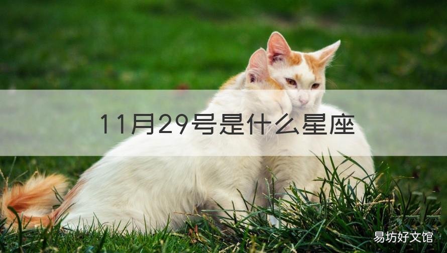 11月29号是什么星座 1988年11月29号是什么星座