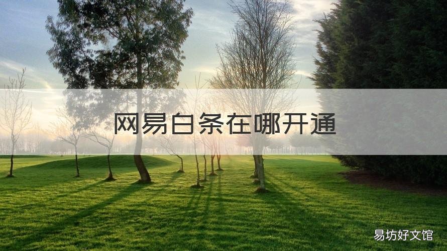 网易白条在哪开通 网易白条在哪开通会员