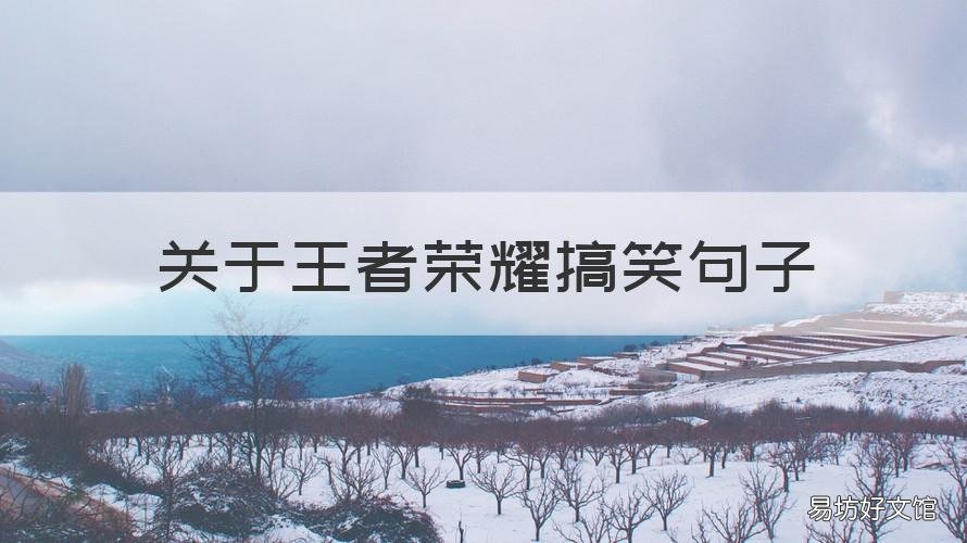 关于王者荣耀搞笑句子 王者荣耀搞笑句子越短越好