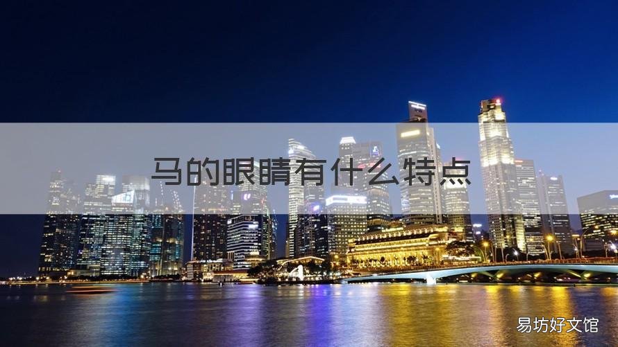 马的眼睛有什么特点 马的眼睛有什么特点和作用