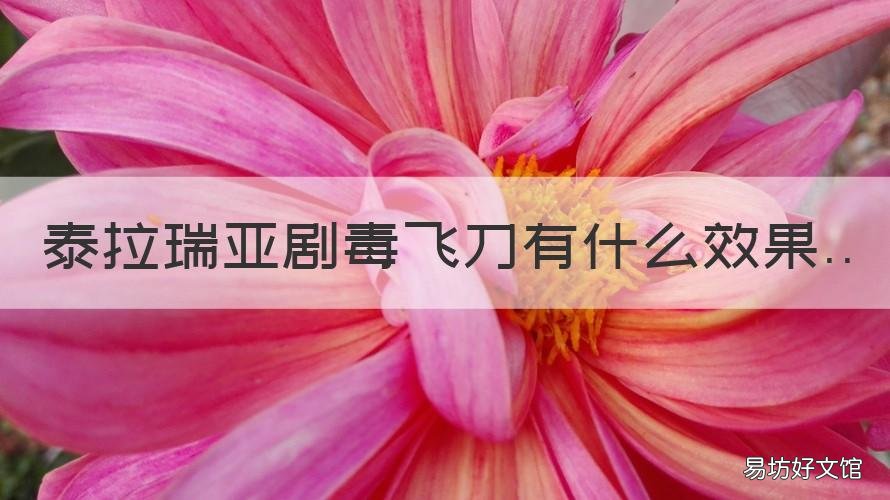 泰拉瑞亚剧毒飞刀有什么效果 泰拉瑞亚飞刀好用吗