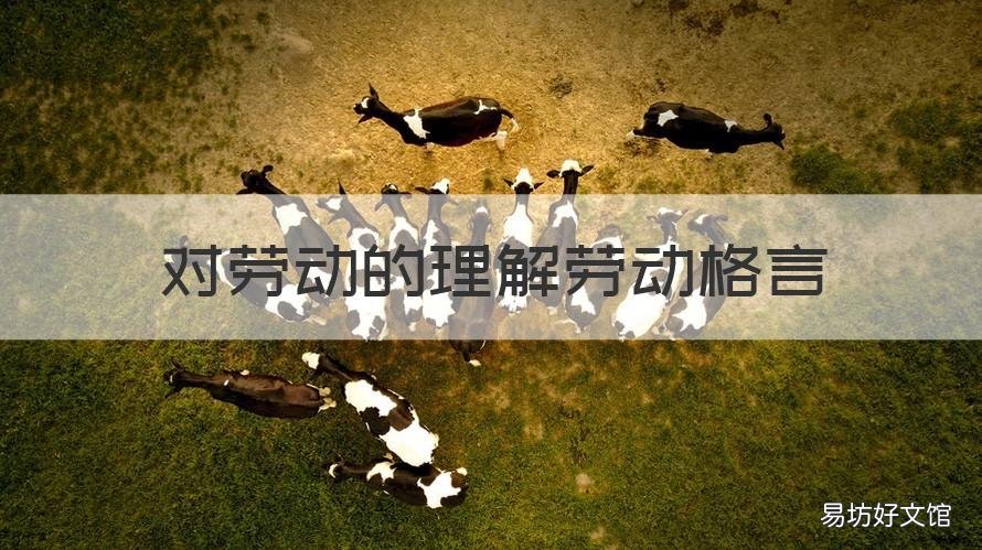 对劳动的理解劳动格言 关于劳动的格言500句