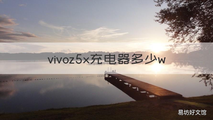 vivoz5x充电器多少w vivo z5x充电器多大的