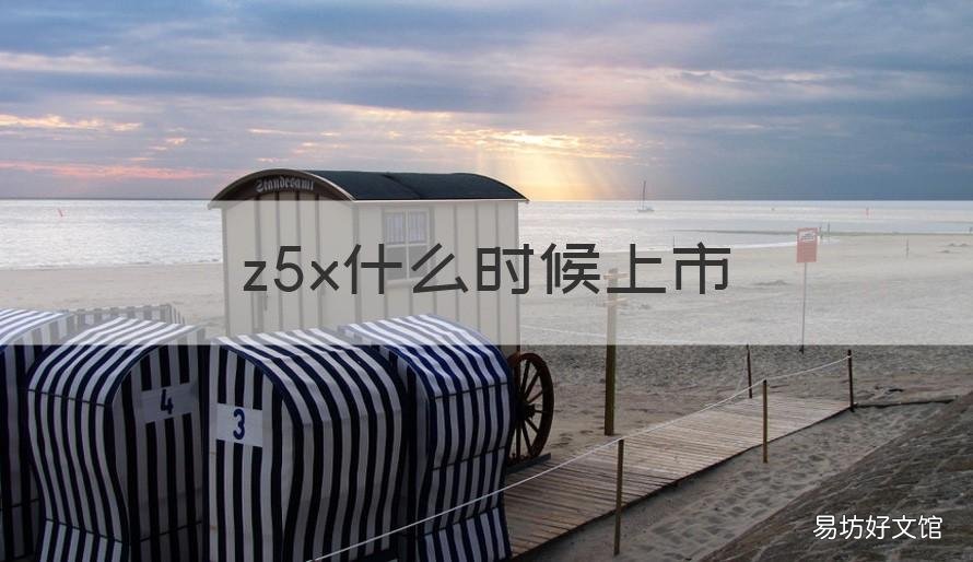 z5x什么时候上市 vivo z5x什么时候出的