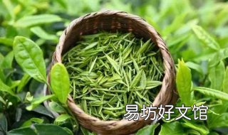 高山绿茶和平地绿茶 高山绿茶和平地绿茶的区别