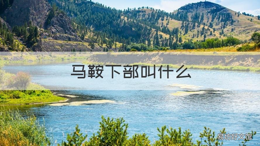 马鞍下部叫什么 马鞍下部叫什么名称