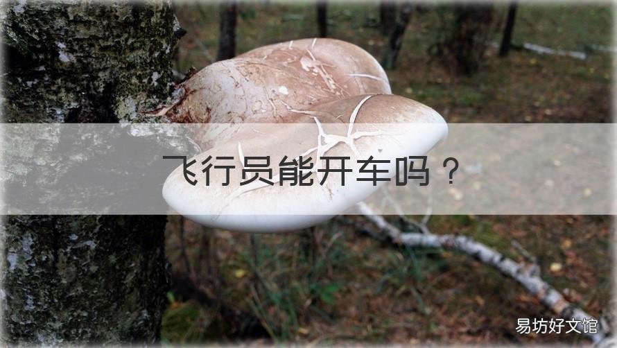 飞行员能开车吗 飞行员能开车吗百度