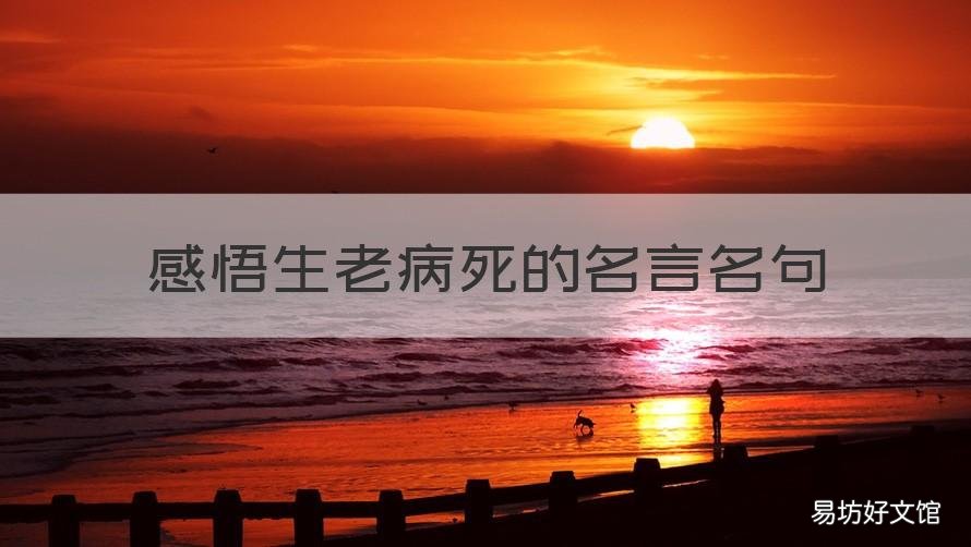感悟生老病死的名言名句 感悟生老病死的名言名句图片