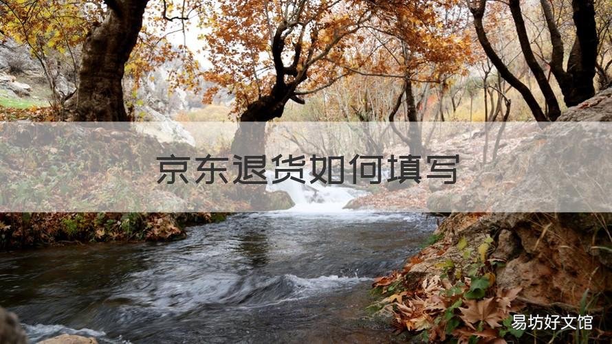 京东退货如何填写 京东退货怎么操作退货单填哪里