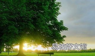 绿意盎然的意思 绿意盎然的意思是什么